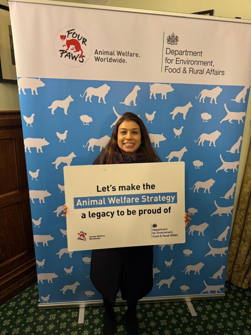 Tulip Celebrating the Animal Welfare Strategy